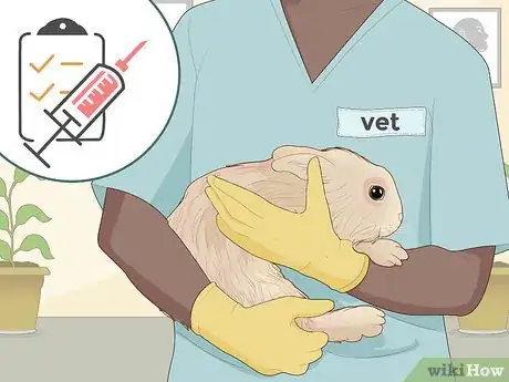 Image intitulée Care for Dwarf Rabbits Step 27