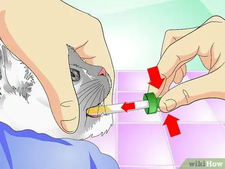 Image intitulée Give Cats Liquid Medicine Step 9