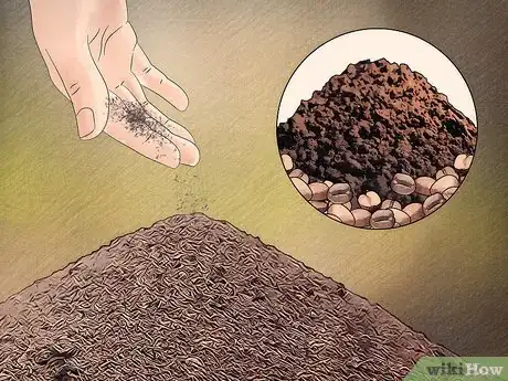 Image intitulée Get Rid of Ants Naturally Step 13