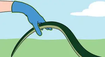attraper un serpent