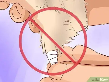 Image intitulée Treat Your Hamster's Broken Leg Step 7