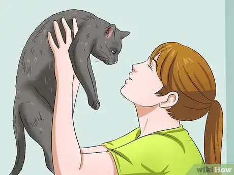 Image intitulée Give a Cat Medicine Step 14