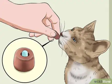 Image intitulée Give a Cat Medicine Step 6