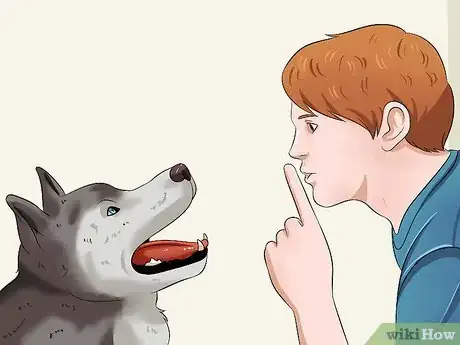 Image intitulée Teach Your Dog to Speak Step 10