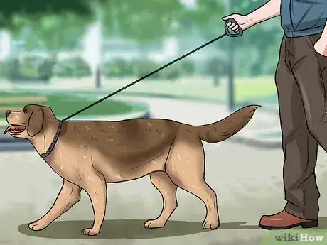 Image intitulée Train Dogs Not to Bark Step 15