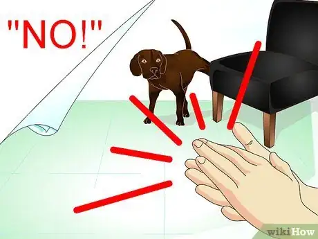 Image intitulée Stop Dog Marking Behaviors Step 8