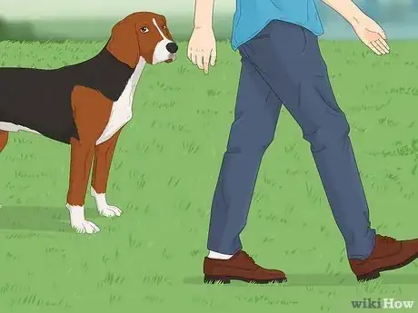 Image intitulée Handle a Dog Attack Step 5