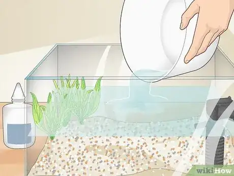 Image intitulée Clean a Betta Fish Tank Step 9