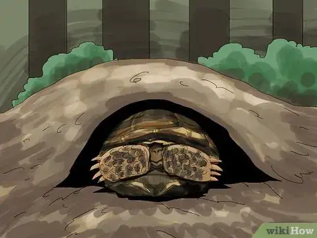Image intitulée Care for a Tortoise Step 13