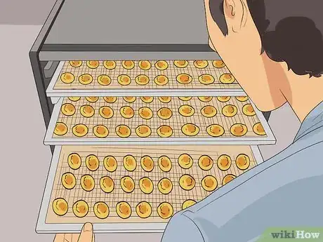 Image intitulée Dry Apricots Step 15
