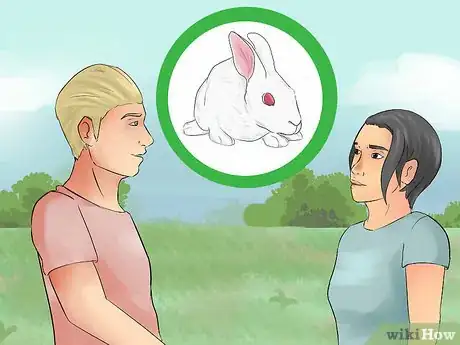 Image intitulée Catch a Pet Rabbit Step 10