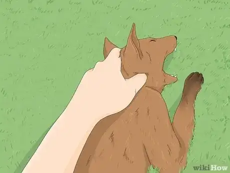Image intitulée Handle a Dog Attack Step 7