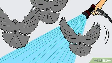 Image intitulée Get Rid of Pigeons Step 10