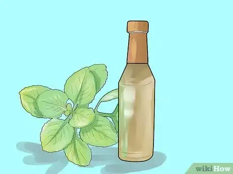 Image intitulée Get Health Benefits from Oregano Oil Step 9