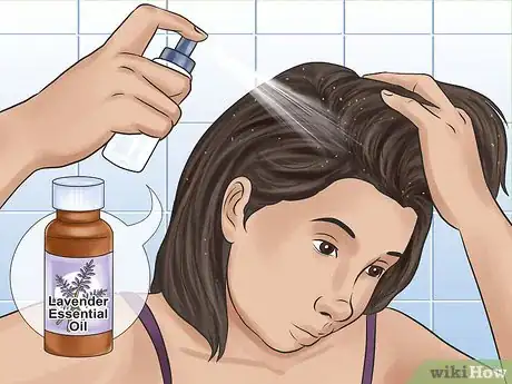 Image intitulée Get Rid of Lice Step 7