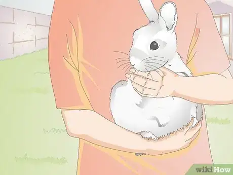 Image intitulée Hold a Rabbit Step 5