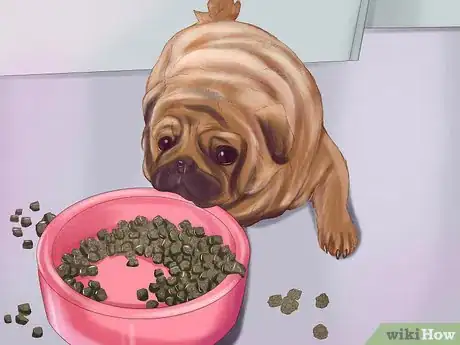 Image intitulée Live with a Pug Dog Step 1