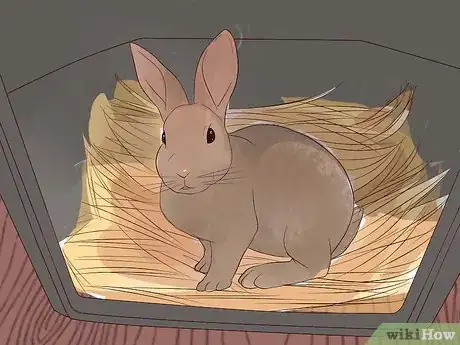 Image intitulée Transport a Rabbit Step 5