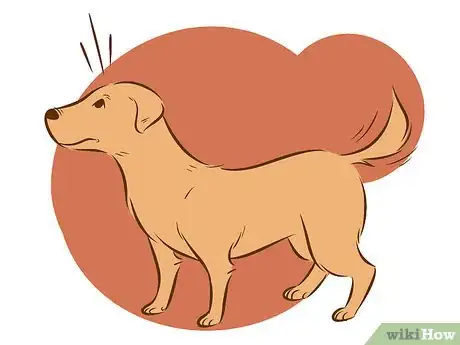 Image intitulée Stop a Dog from Humping Step 5