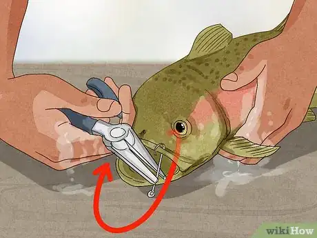Image intitulée Unhook a Fish Step 6