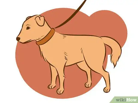 Image intitulée Stop a Dog from Humping Step 7
