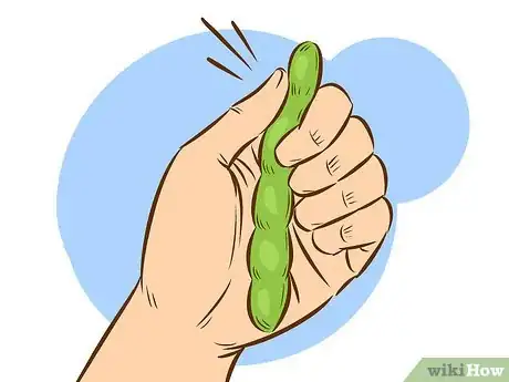 Image intitulée Grow Broad Beans Step 14