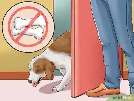 Image intitulée Teach Your Dog to Speak Step 18