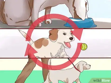 Image intitulée Love Your Dog Step 7