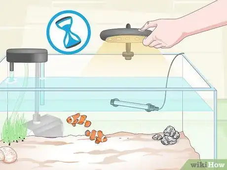 Image intitulée Cycle a Saltwater Tank Step 15