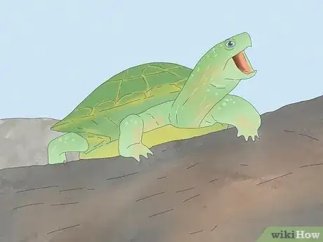 Image intitulée Pet a Turtle Step 13