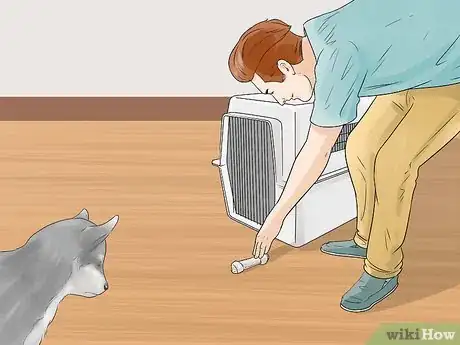 Image intitulée Train and Care for Your New Siberian Husky Puppy Step 10