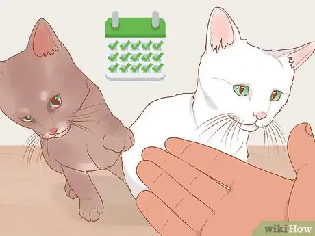 Image intitulée Be Nice to Your Pets Step 1