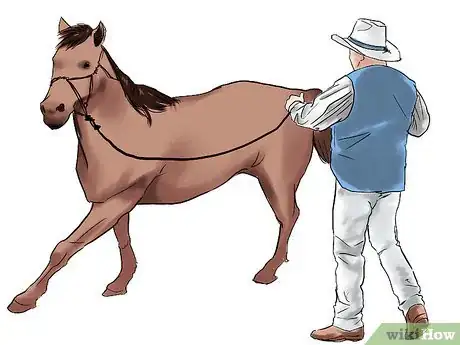 Image intitulée Train a Horse Step 9