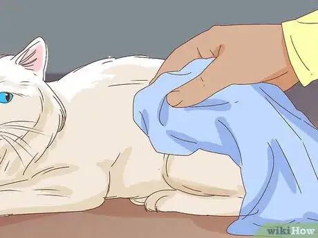 Image intitulée Bathe an Angry Cat With Minimal Damage Step 12