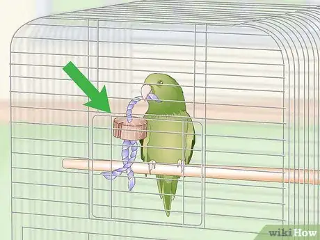 Image intitulée Set Up a Parrotlet Cage Step 8