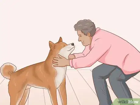 Image intitulée Choose a Shiba Inu Puppy Step 9