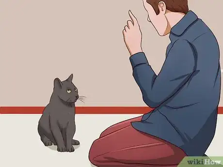 Image intitulée Stop a Cat from Clawing Furniture Step 2