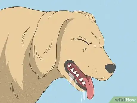 Image intitulée Know When Your Dog is Sick Step 1