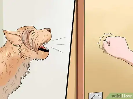 Image intitulée Teach Your Dog to Speak Step 24