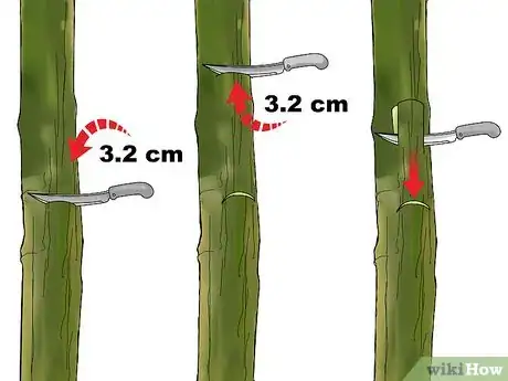 Image intitulée Graft a Tree Step 10