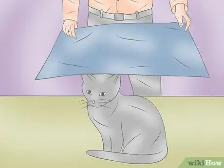 Image intitulée Wrap a Cat Step 9