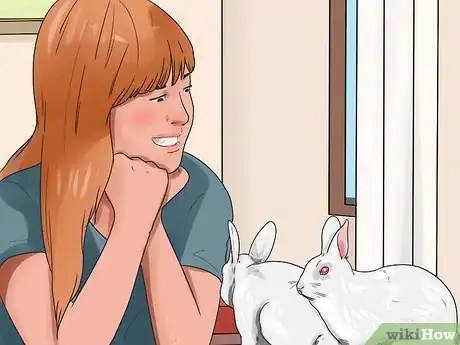 Image intitulée Breed Rabbits Step 3