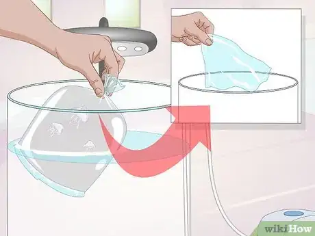 Image intitulée Start a Jellyfish Tank Step 13