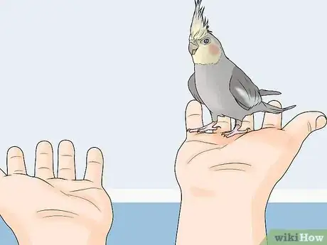 Image intitulée Gain Your Bird's Trust Step 6