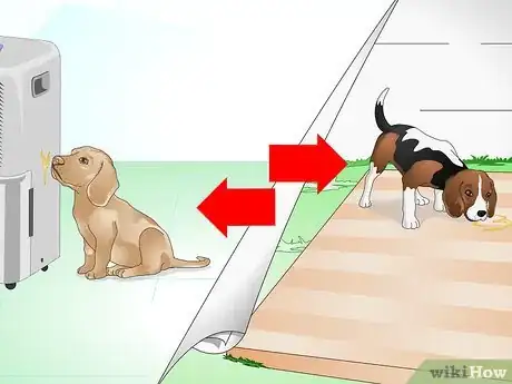 Image intitulée Stop Dog Marking Behaviors Step 2