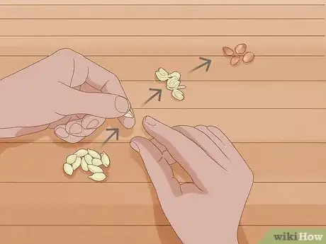 Image intitulée Plant a Lemon Seed Step 16