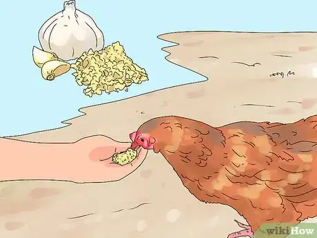 Image intitulée Worm Chickens Step 6