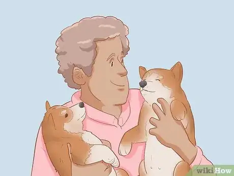 Image intitulée Choose a Shiba Inu Puppy Step 10
