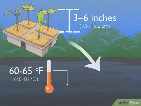 Image intitulée Grow Jalapeno Peppers Step 7