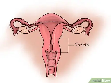 Image intitulée Feel Your Cervix Step 1